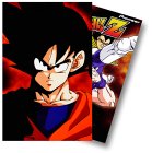 Dragon Ball!